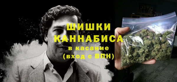 2c-b Богородицк