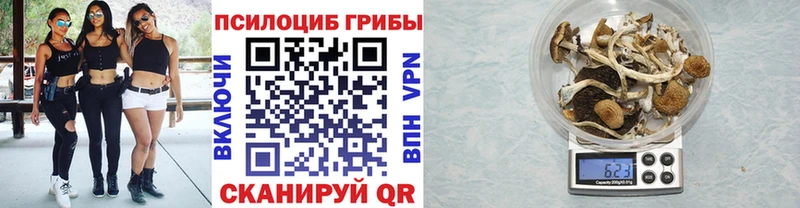 как найти закладки  Кочубеевское  маркетплейс клад  Псилоцибиновые грибы GOLDEN TEACHER 