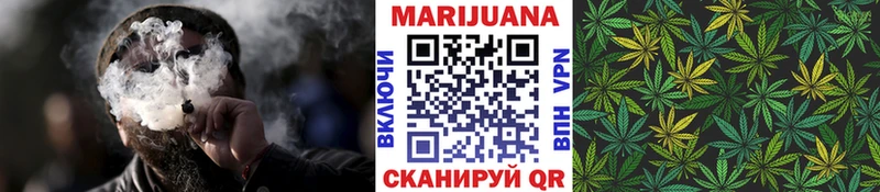 Каннабис SATIVA & INDICA  Кочубеевское 